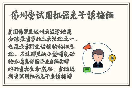金蝶看B